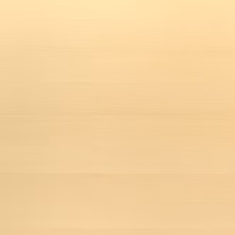 finesse-sauna-birke (5)